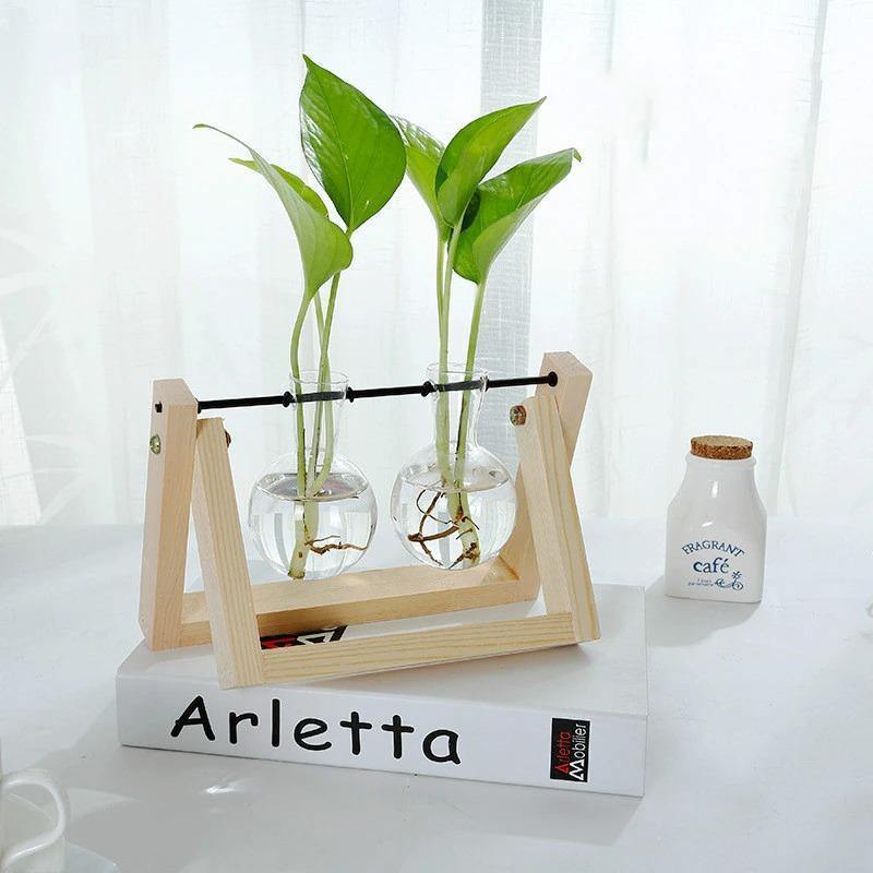 Glass Propagation Vase with A-Frame Wood Stand