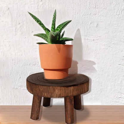 Wooden Plant Holder Seat