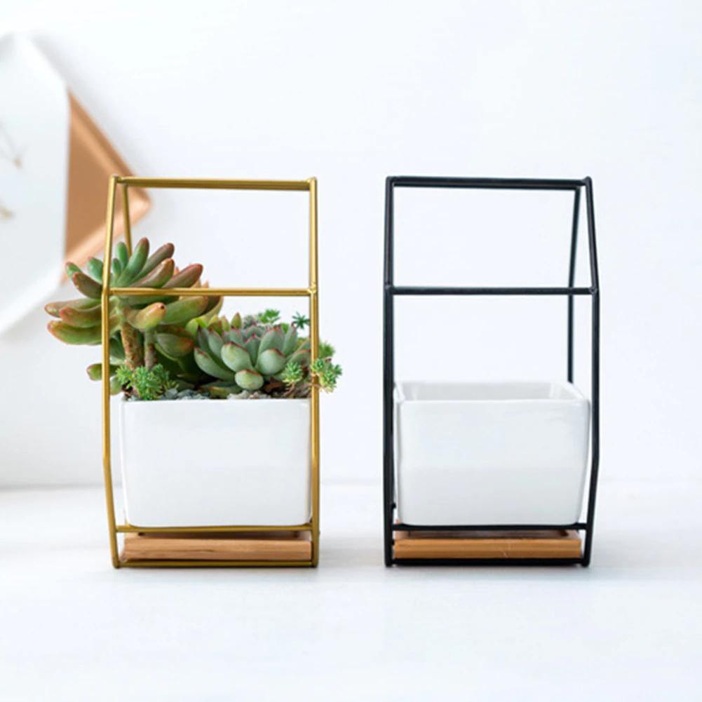 Hexa Frame Wall Planter