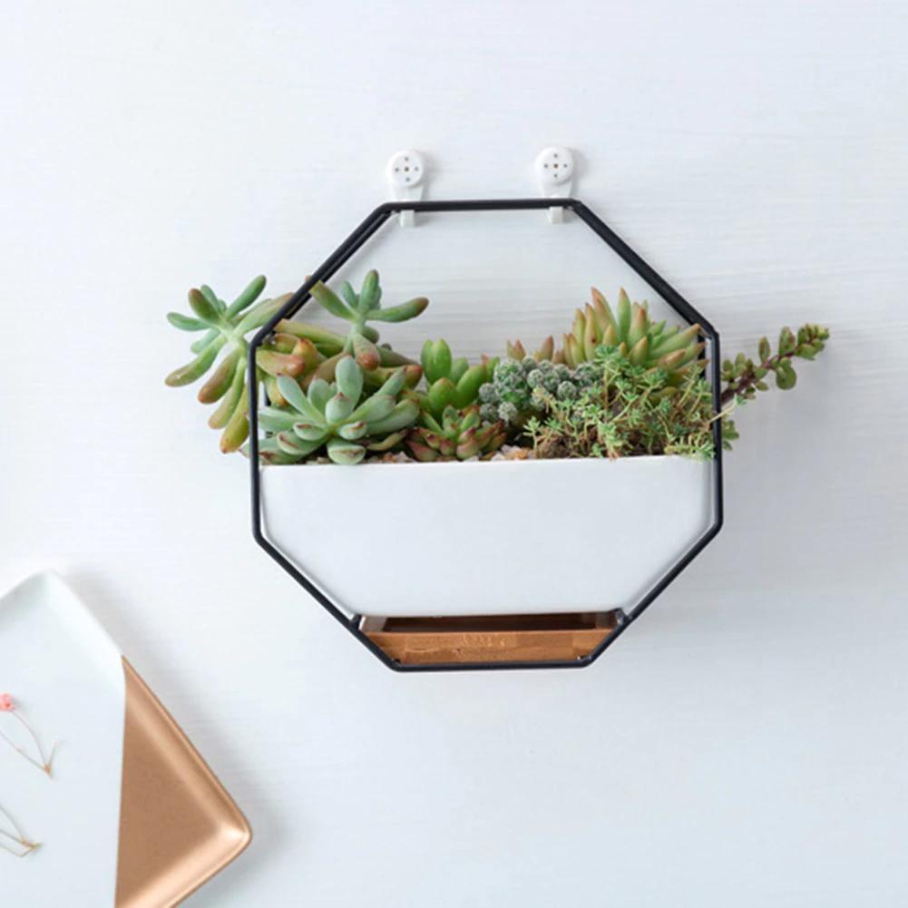 Hexa Frame Wall Planter