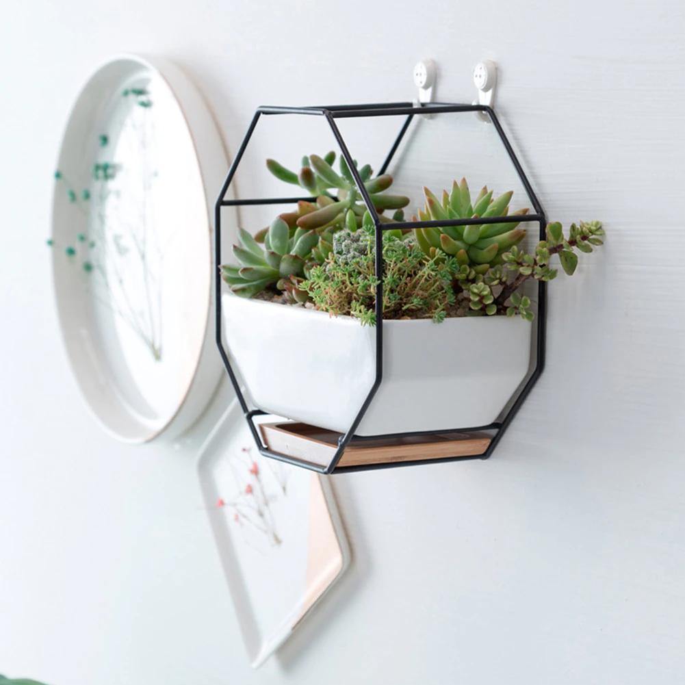 Hexa Frame Wall Planter