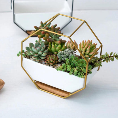 Hexa Frame Wall Planter