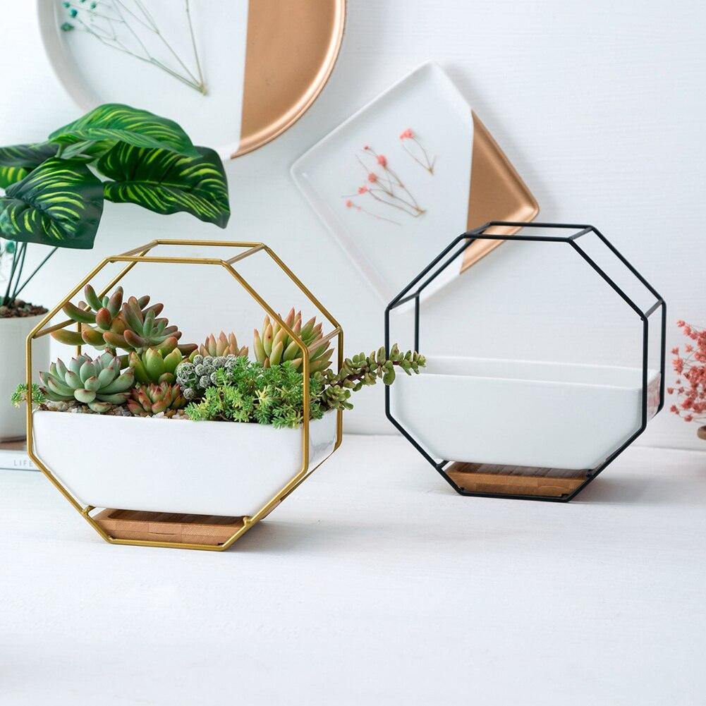 Hexa Frame Wall Planter