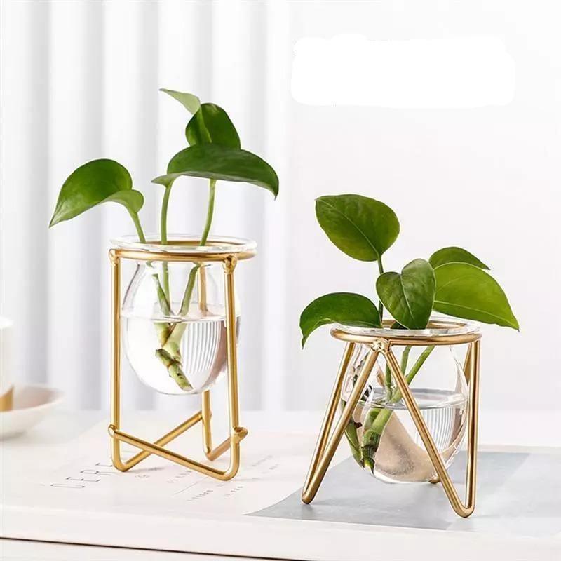 Modern Glass Plant Vase