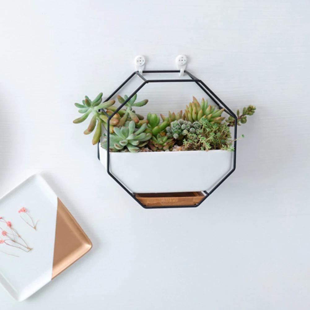 Hexa Frame Wall Planter