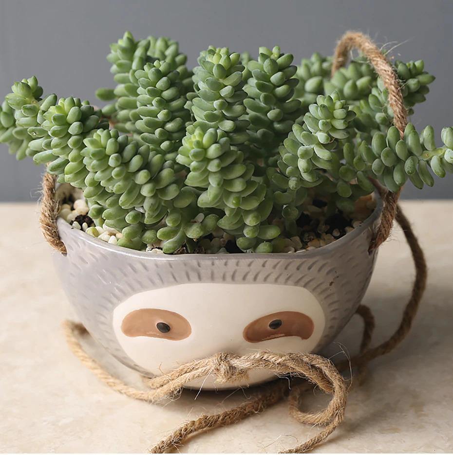 Lazy Ceramic Hanging Succulent Planter