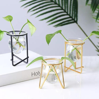 Modern Glass Plant Vase