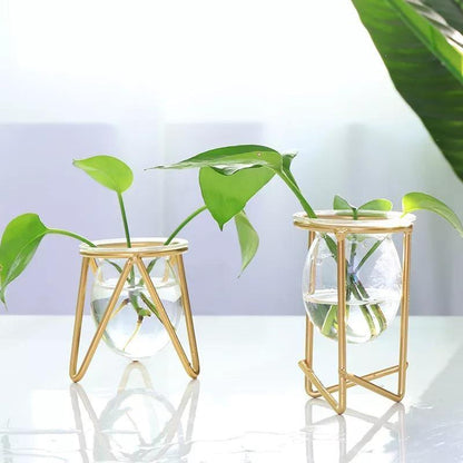 Modern Glass Plant Vase