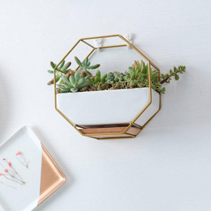 Hexa Frame Wall Planter