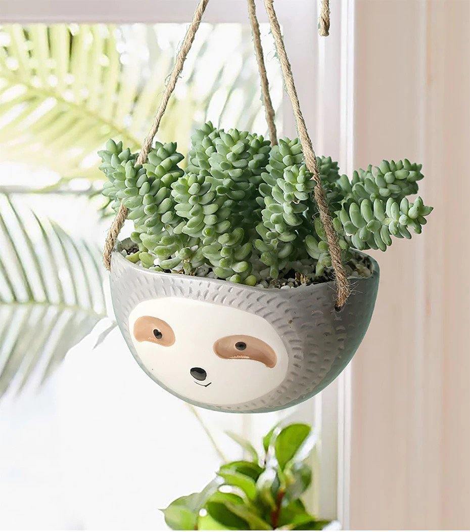 Lazy Ceramic Hanging Succulent Planter