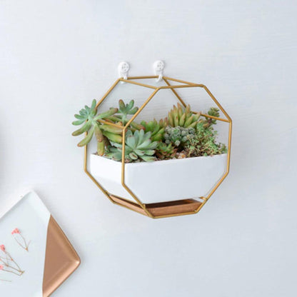 Hexa Frame Wall Planter