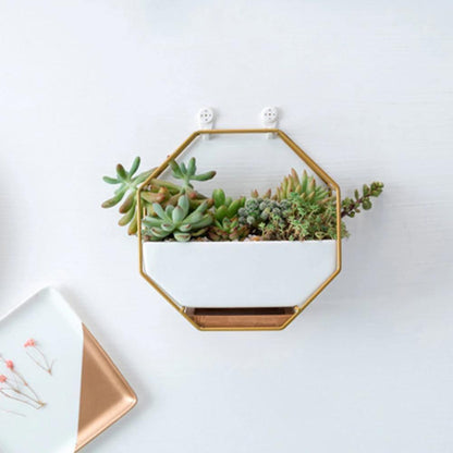 Hexa Frame Wall Planter