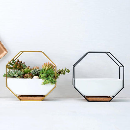 Hexa Frame Wall Planter